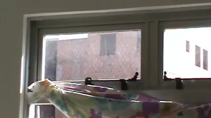 Dos negras culonas gif jóvenes estudiantes de la follada de su dueña